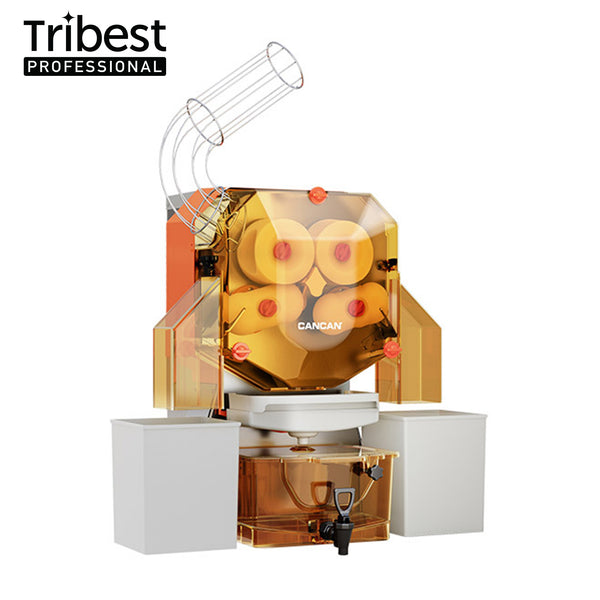 セルキュア　BLGフォーフェイシャンマシーン AGELEB for facial Machine（セルキュア推奨ローション） - BELEGA
