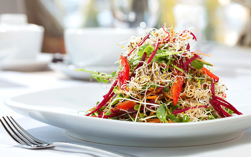 Sprout Salad Bowl