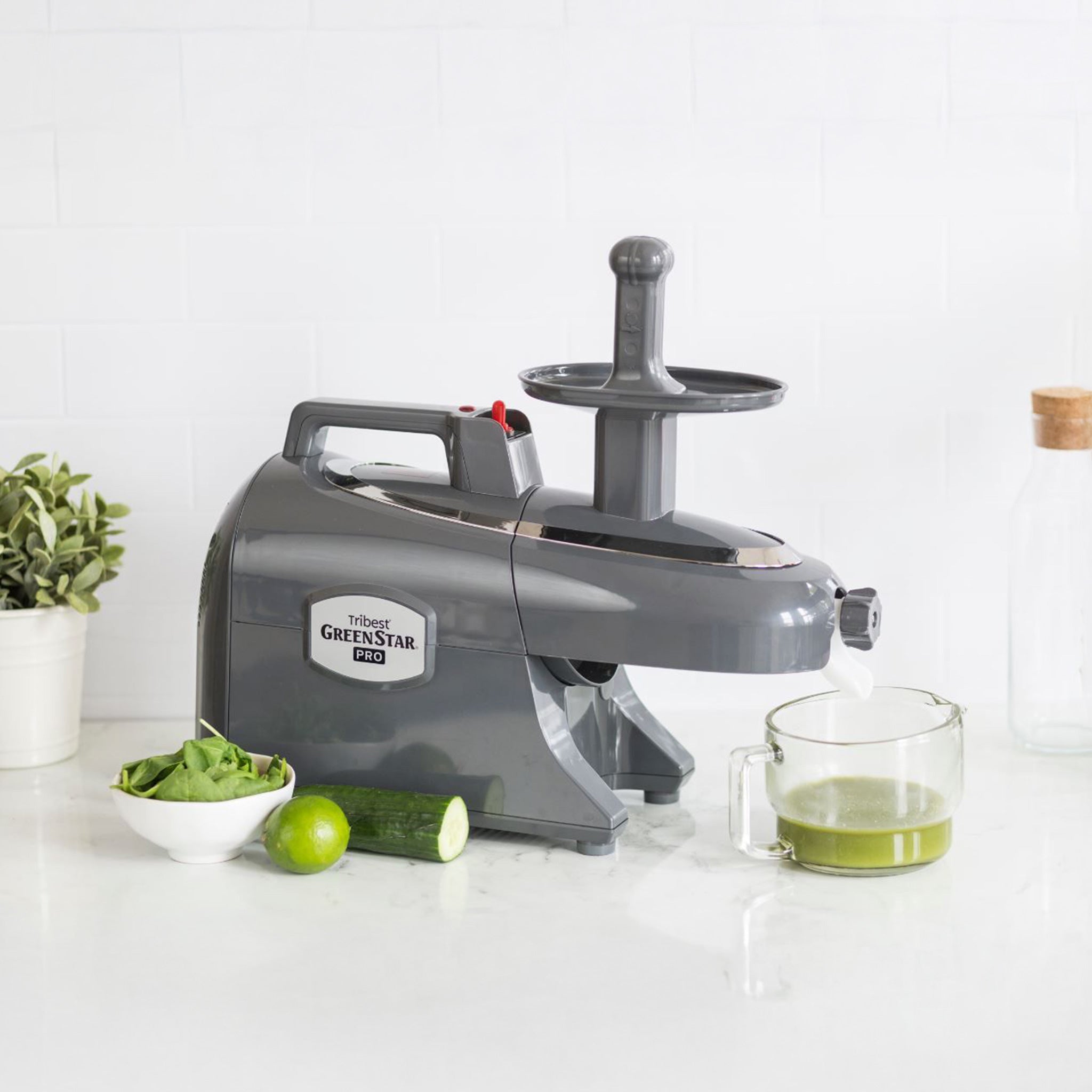 Greenstar® Pro Twin Gear Commercial Slow Juicer in Gray GS-P502-B - Tribest