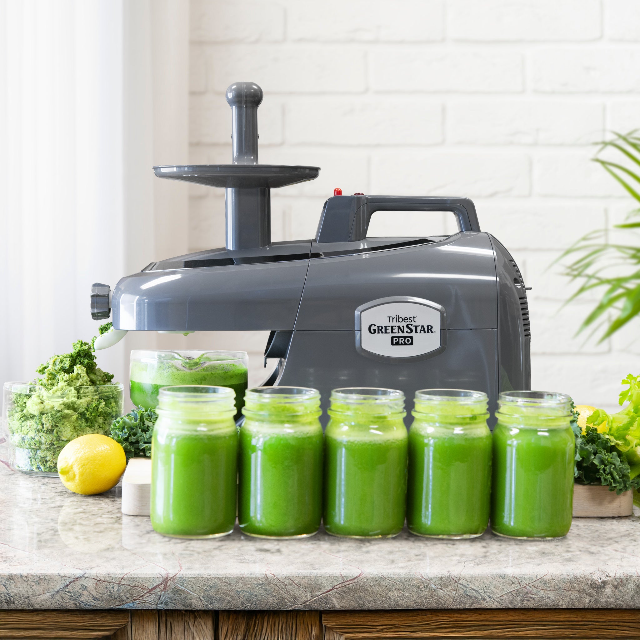 Greenstar® Pro Twin Gear Commercial Slow Juicer in Gray GS-P502-B - Tribest