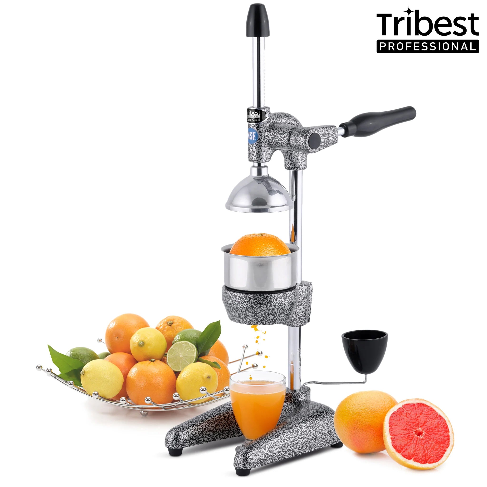 Tribest Professional Cancan Manual Juice Press MJP-100GYR in Gray