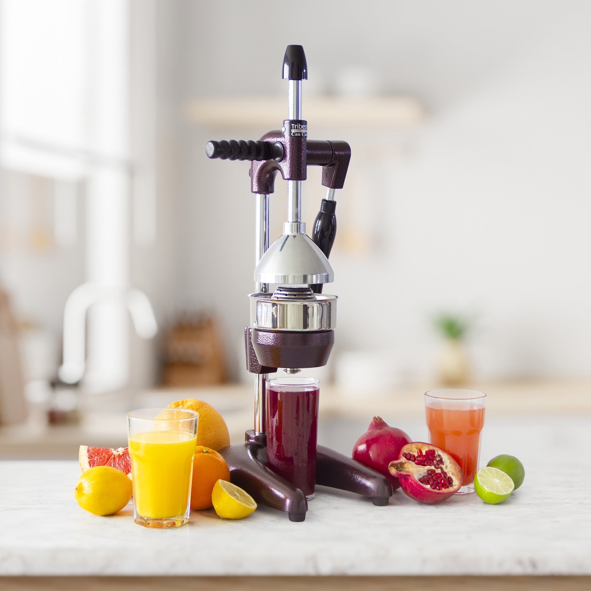 Tribest Professional Cancan XL Manual Juice Press for Pomegranate and Citrus MJP-105 in Purple