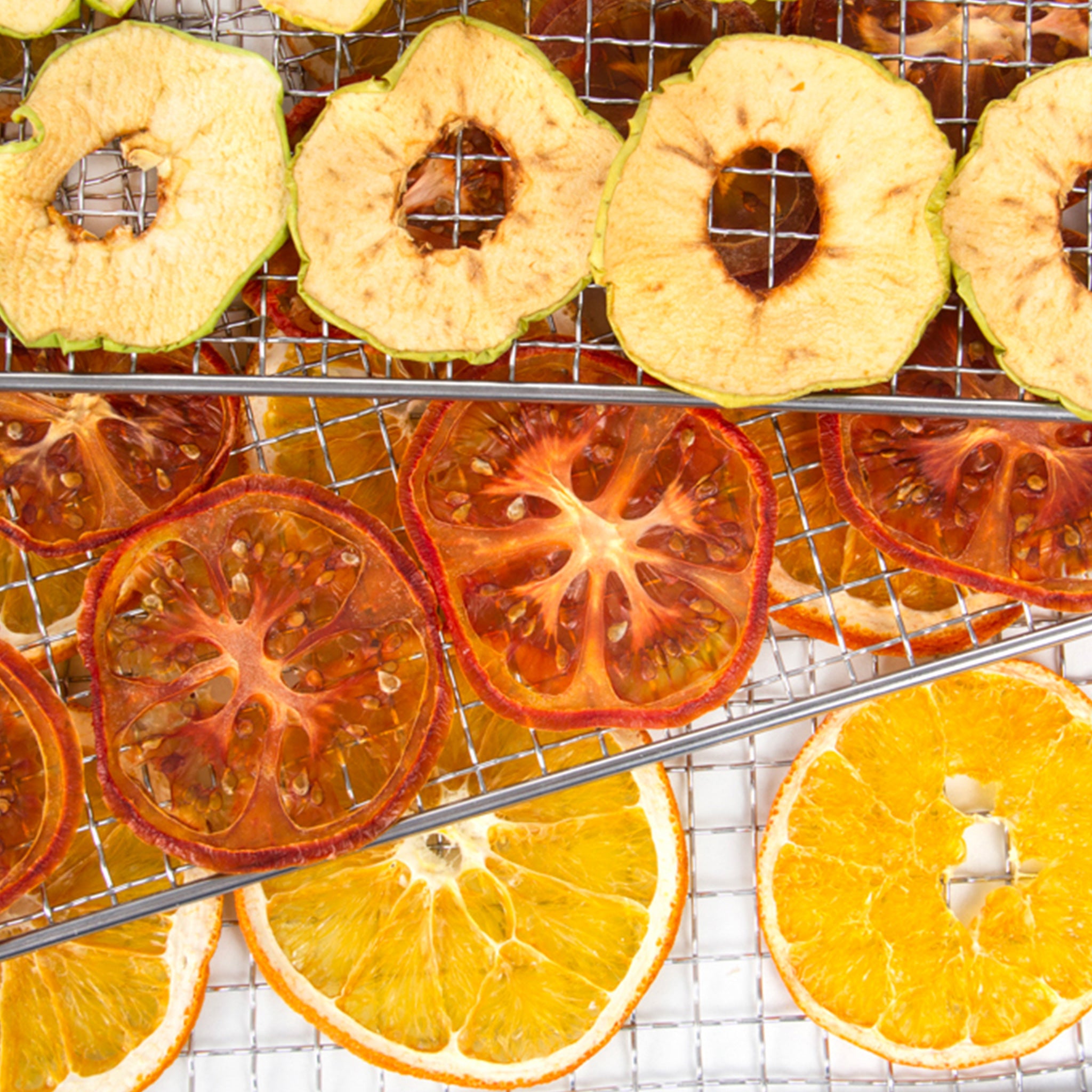 Sedona Dehydrator Stainless Steel Tray with dried fruits