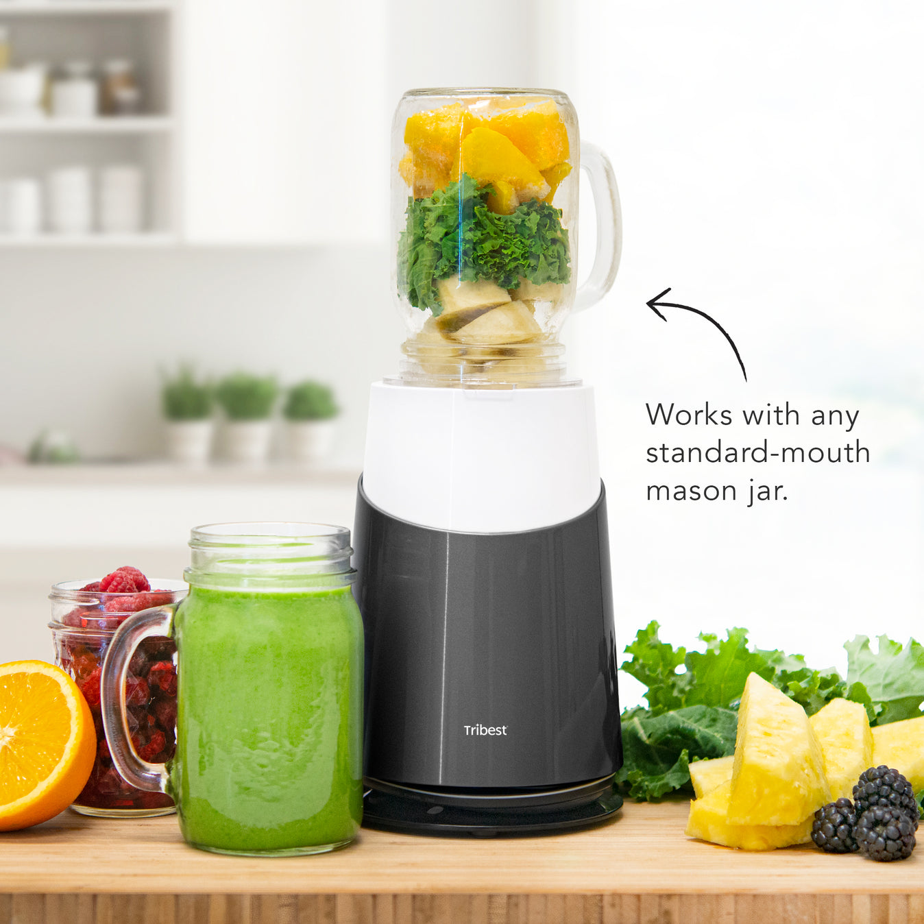 Personal Blender II® Ready (Family 16-Piece Set)
