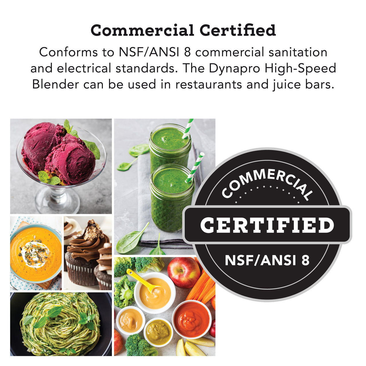 Dynapro® Commercial High-Speed Vacuum Blender in Gray - Commercial Certified