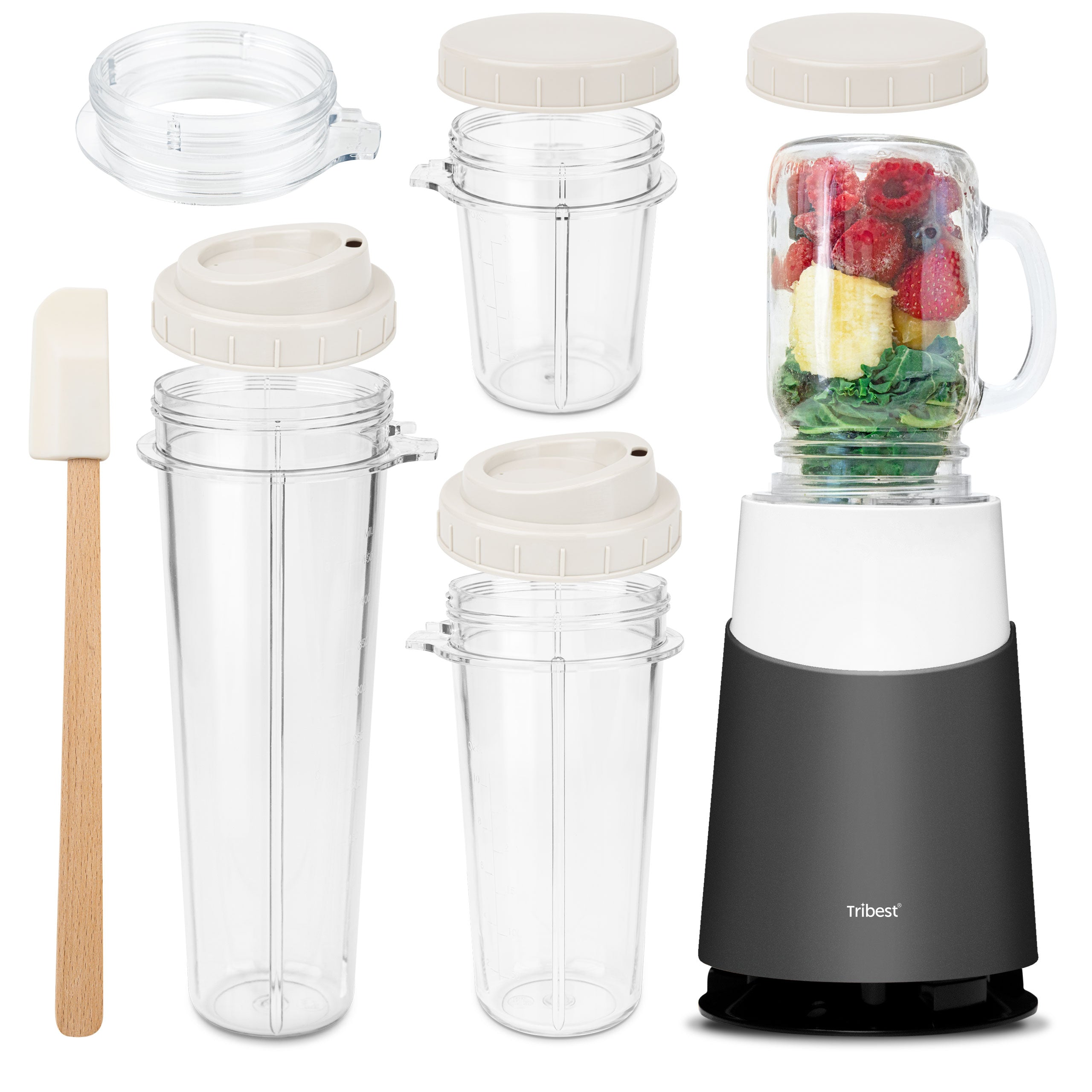 Genteen Personal Smoothie Blender,650W | 8 Pcs Blender for Shakes and  Smoothies with 3 Speeds,24+17oz Travel Bottles BPA Free Single Serve  Blender for