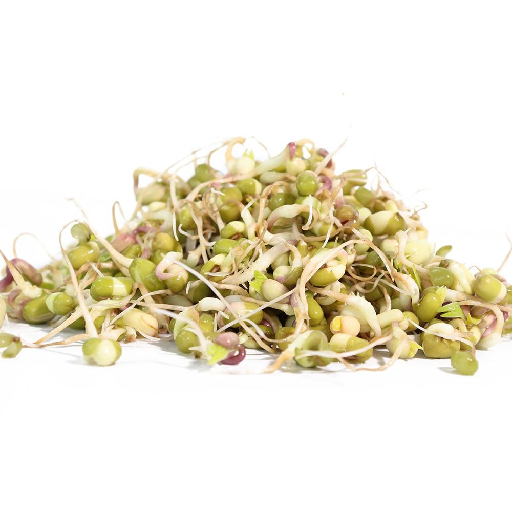 Sproutman's Organic Mung Bean Sprouting Seeds (16 oz) SEEDBS10 - Tribest
