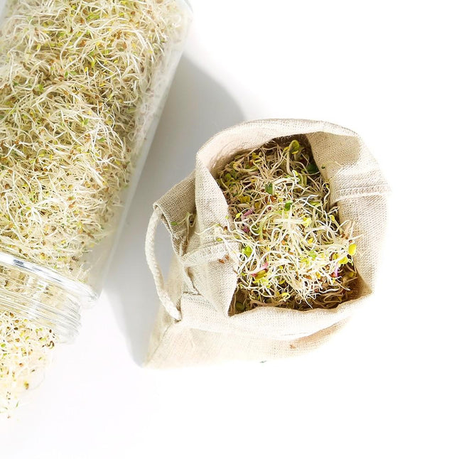 Sproutman's® Hemp Sprouting Bag