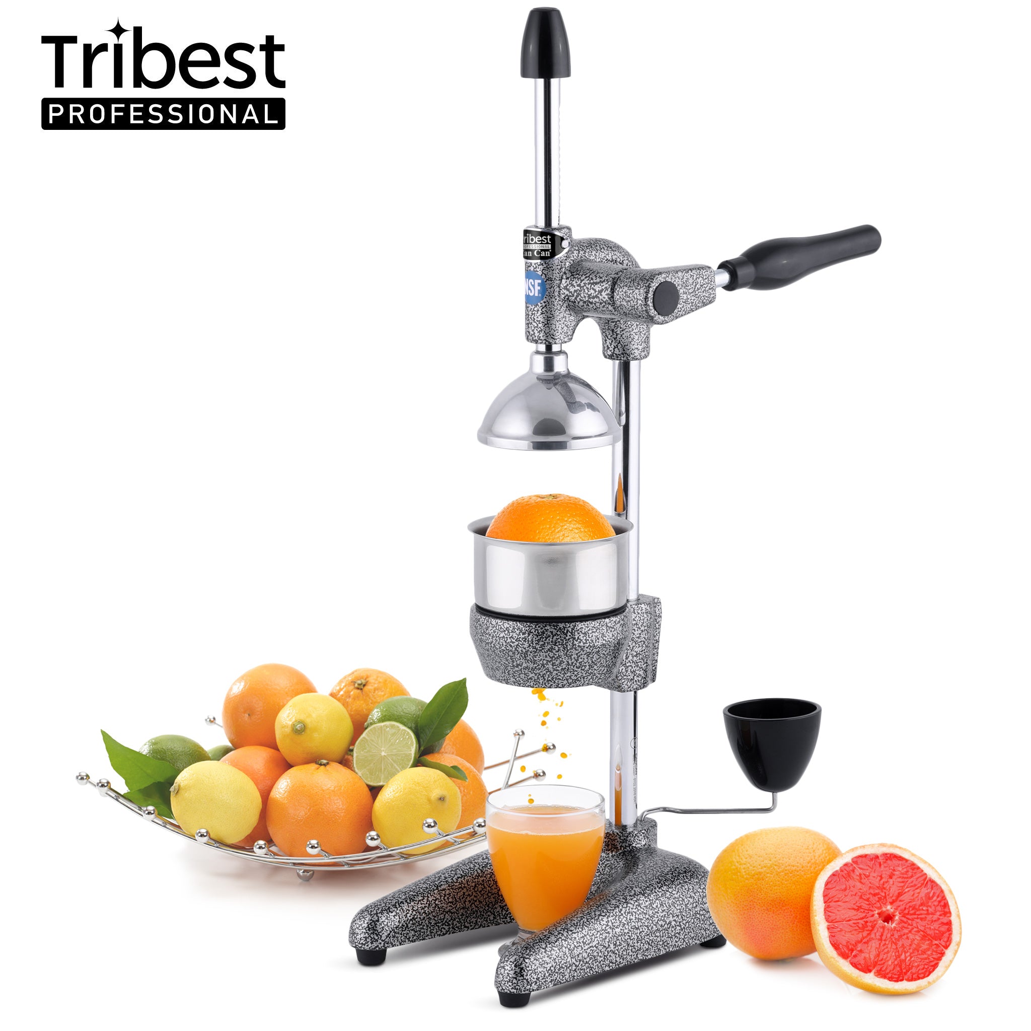 Tribest Manual Juice Press – Gray