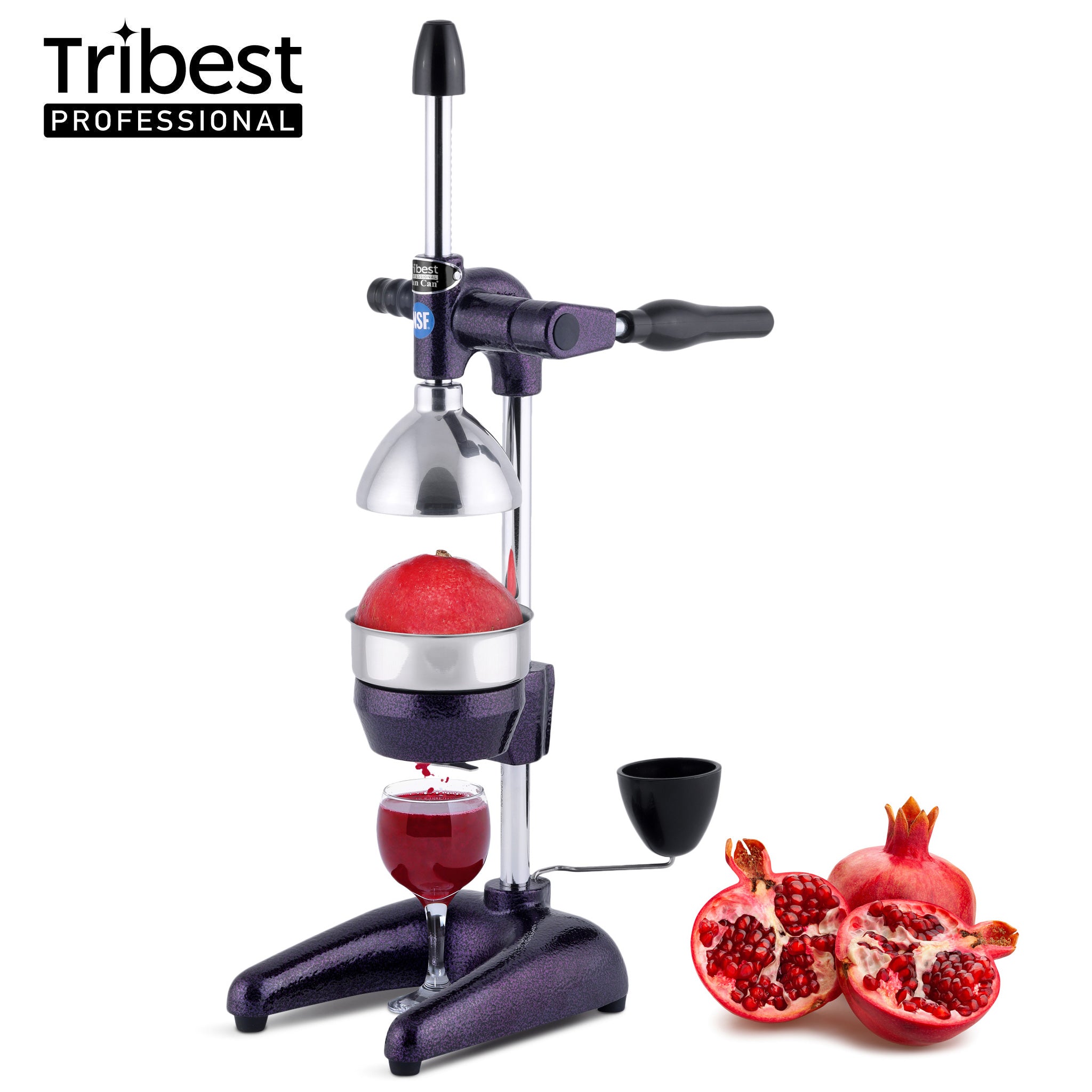 Manual Apple Juicer Machine In Mechanical And Automated Variants 