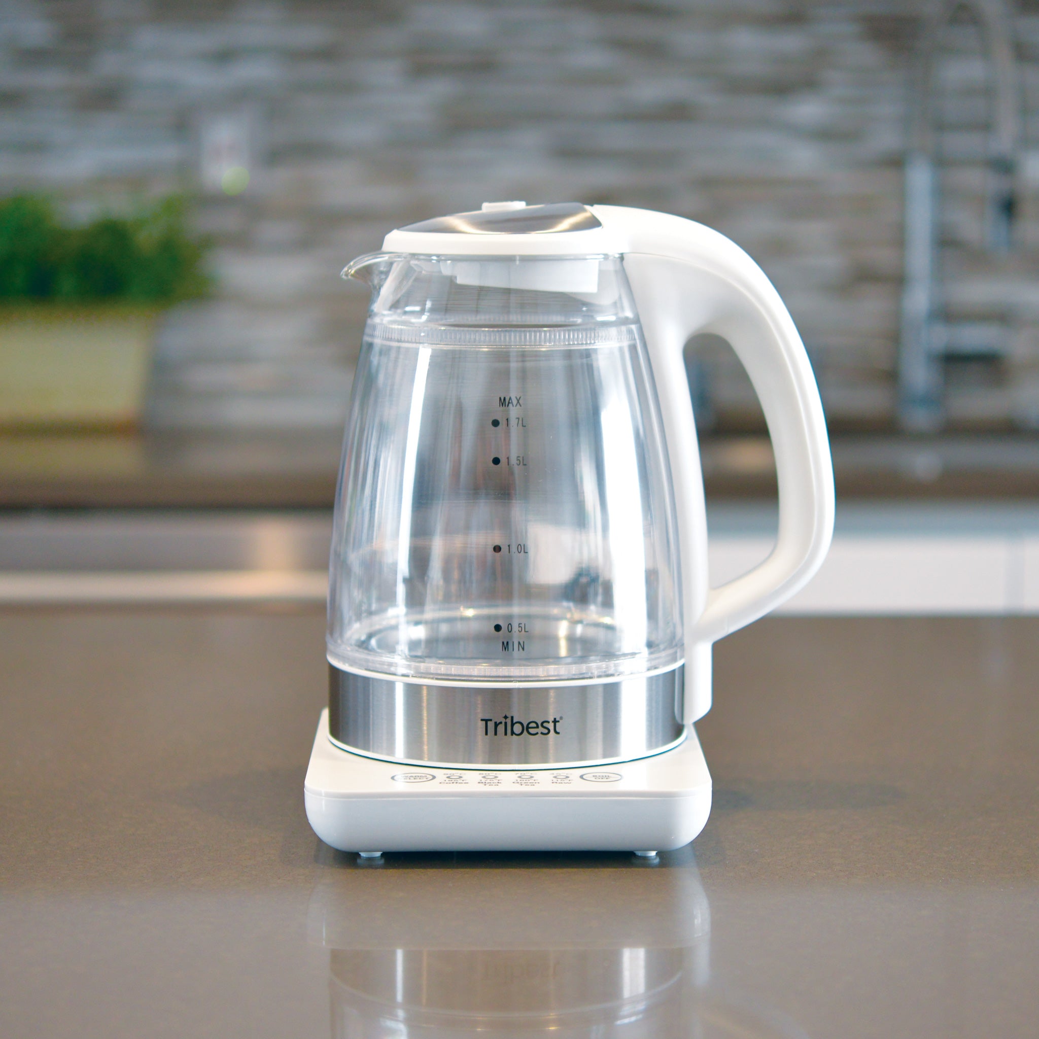 The Best Electric Tea Kettles for Brewing the Perfect Cup