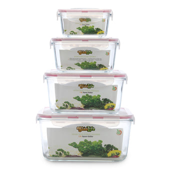 EatNeat 4 pc Round Glass Food Storage Containers With Lids